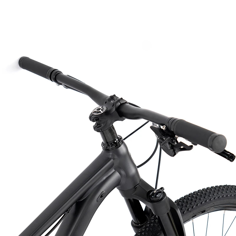 27.5 or 29 Inch 13 Speed Alumi - Mountain Biking Jumps recension och pris